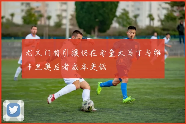 尤文门将引援仍在考量大马丁与维卡里奥后者成本更低