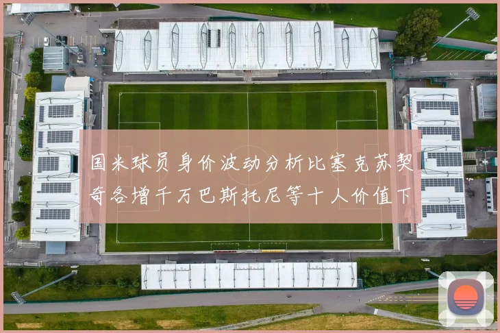 国米球员身价波动分析比塞克苏契奇各增千万巴斯托尼等十人价值下滑