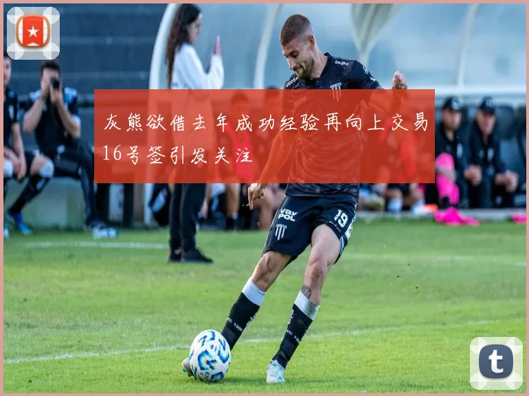 灰熊欲借去年成功经验再向上交易16号签引发关注