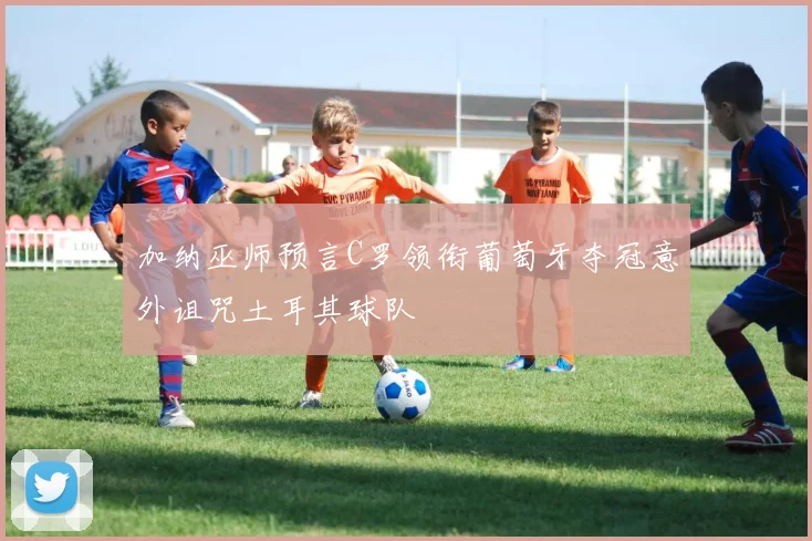加纳巫师预言C罗领衔葡萄牙夺冠意外诅咒土耳其球队